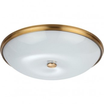 Потолочный светильник ODEON LIGHT PELOW 4956/6 Потолочный светильник ODEON LIGHT PELOW 4956/6